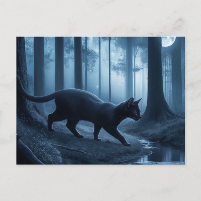 Postcards Cat 11 10 Postkarte (Vorderseite)