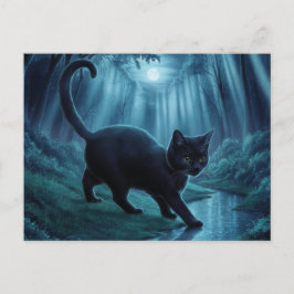 Postcards Cat 11 11 Postkarte