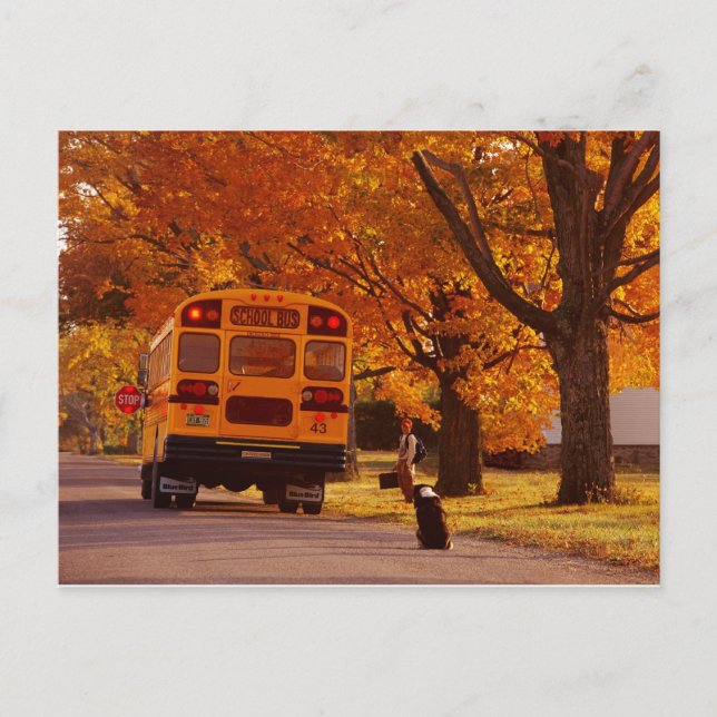 POSTCARDS SCHOOL BUS POSTKARTE (Vorderseite)
