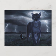 Postcards Sonstiges 1 02