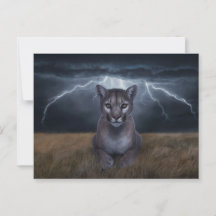 Postcards Sonstiges 1 03