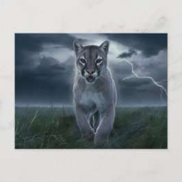 Postcards Sonstiges 1 04 Postkarte