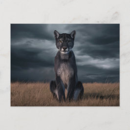 Postcards Sonstiges 1 07 Postkarte