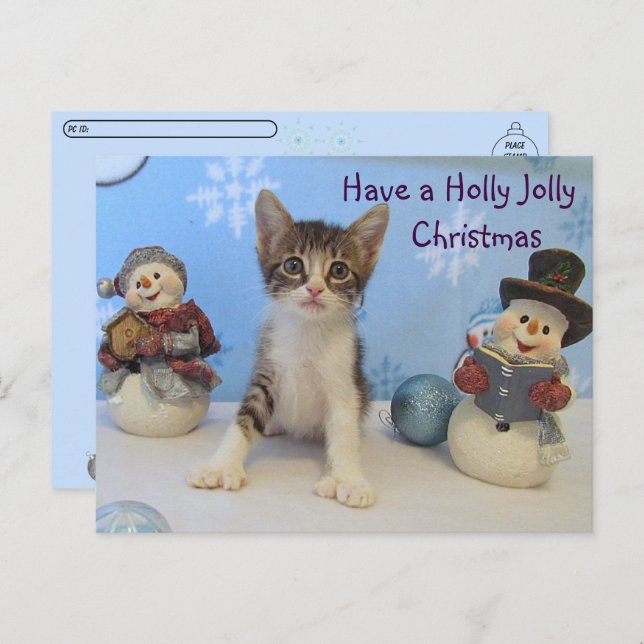 Postcross Taromina Cat - Holly Jolly Christmas Postkarte (Vorne/Hinten)