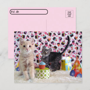 Postcrossing - Alles Gute zum Geburtstag Katzen Postkarte