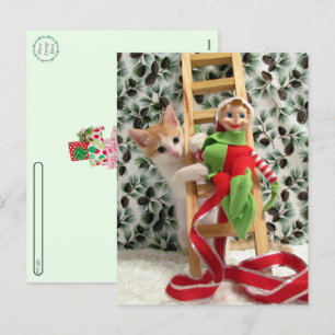 Postcrossing - Annie Das Kätzchen und der Elf Feiertagspostkarte