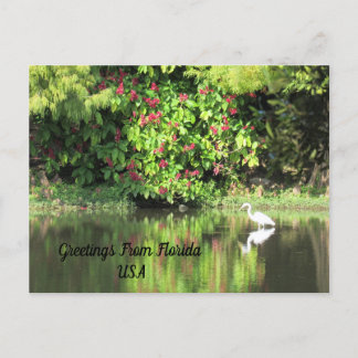Postcrossing - Greetings from - Egret Landscape Feiertagspostkarte