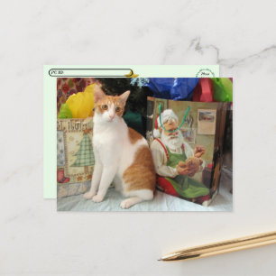 Postcrossing - Kagan die Katze - Weihnachten
