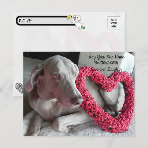 Postcrossing Neue Heimat Gratulation Postkarte