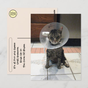 Postcrossing-Schamkegel - Gute Besserung Postkarte