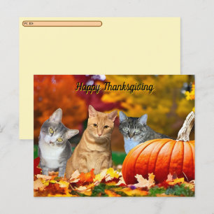 Postcrossing Tito, Taz und Annies 2025 Erntedankfe Feiertagspostkarte