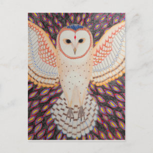 Posteinos Eule Postkarte