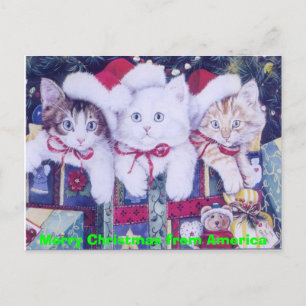 Posten-Weihnachtskatzen Feiertagspostkarte