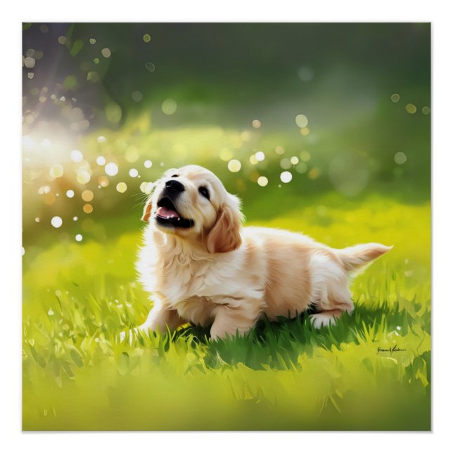 POSTER (Vorderseite)