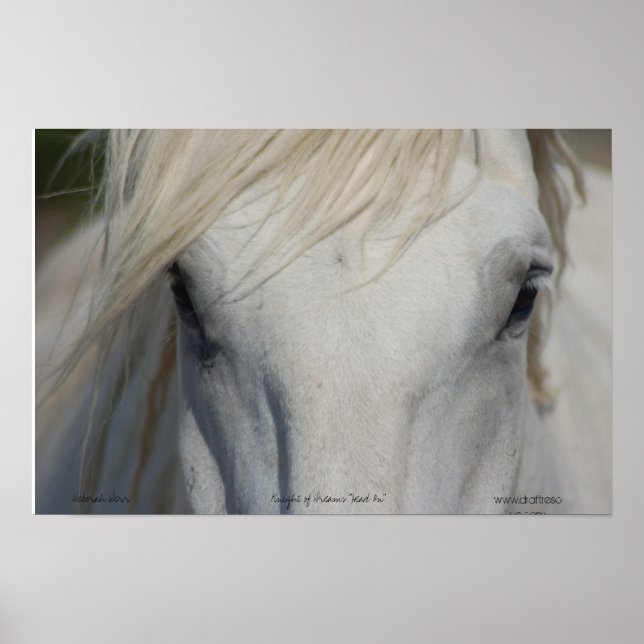 Poster (Vorne)