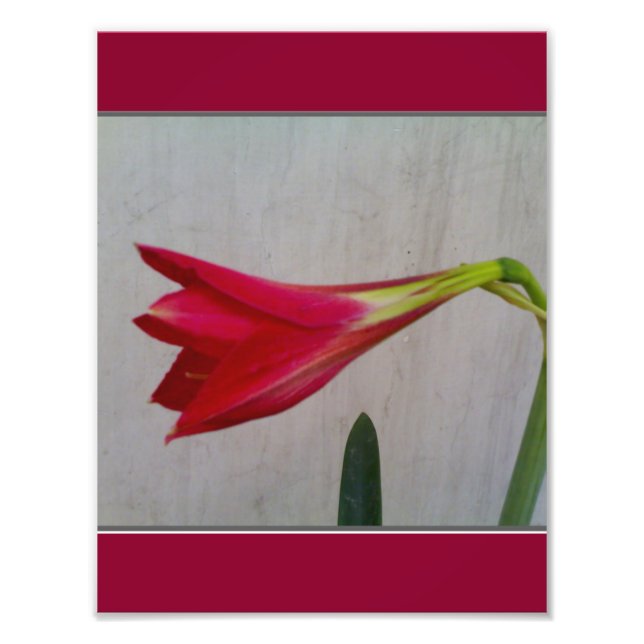 Poster (Vorne)