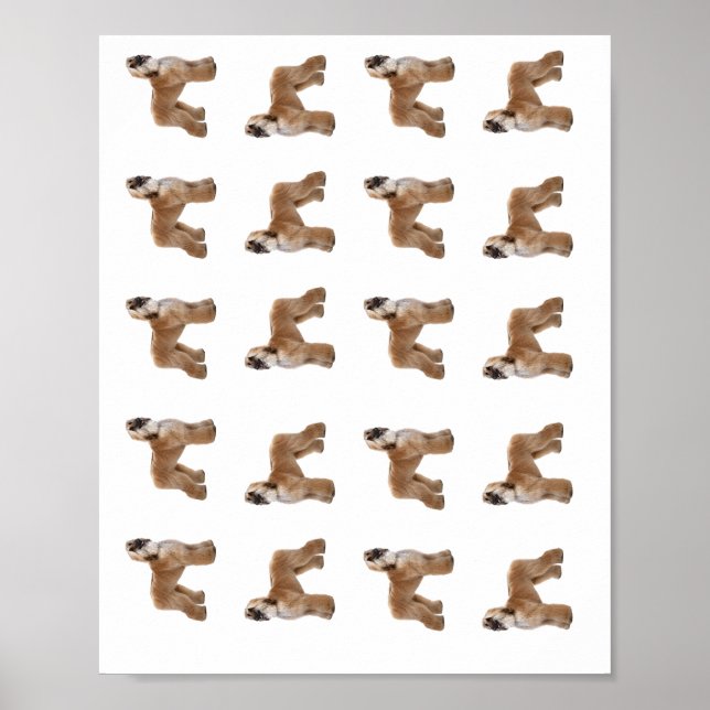 Poster (Vorne)