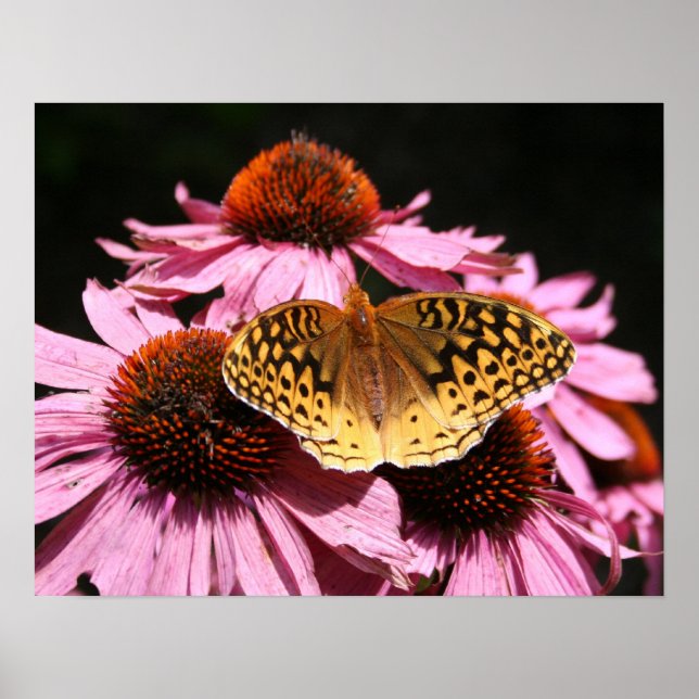 Poster 19x15" (Vorne)