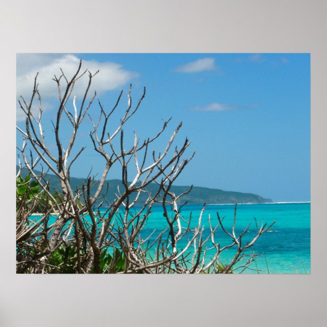 Poster (24"x18") Wasser Himmel Bäume Vanuatu (Vorne)