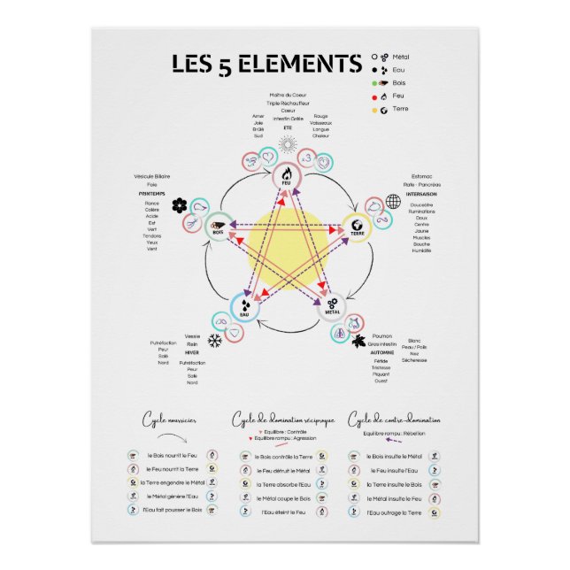 Poster 5 Elemente Chinesische Medizin (Vorderseite)