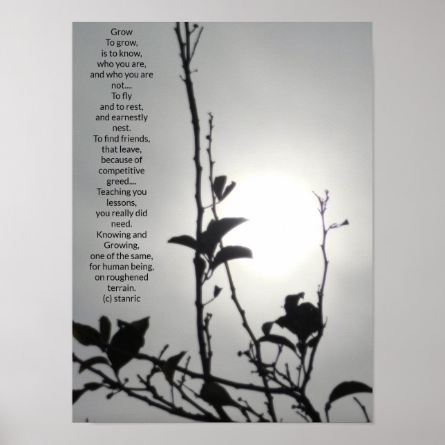 POSTER ART AND DESIGIGN STYLES (Vorne)