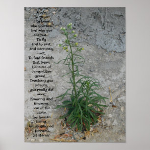 POSTER ART AND DESIGIGN STYLES