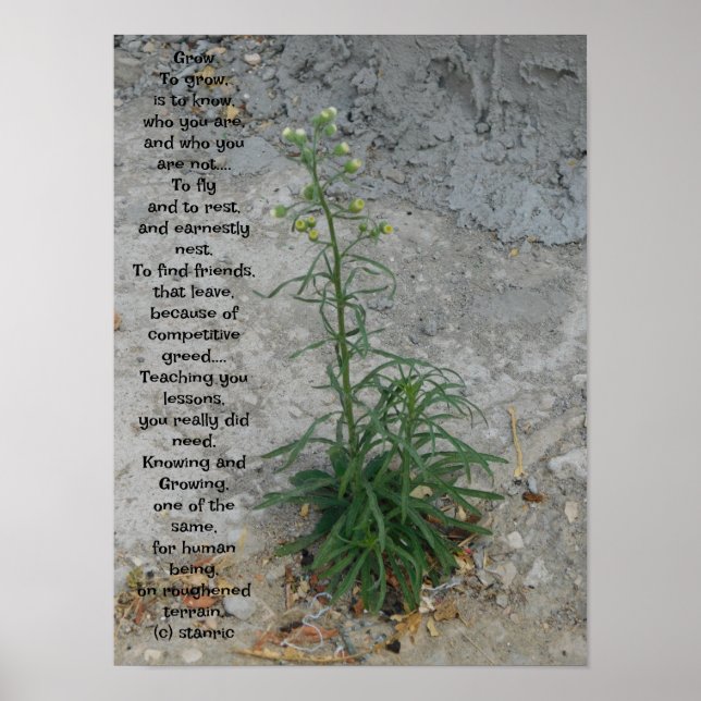 POSTER ART AND DESIGIGN STYLES (Vorne)