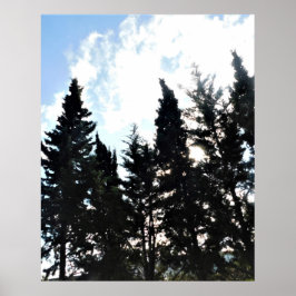 POSTER ART AND DESIGIGN STYLES