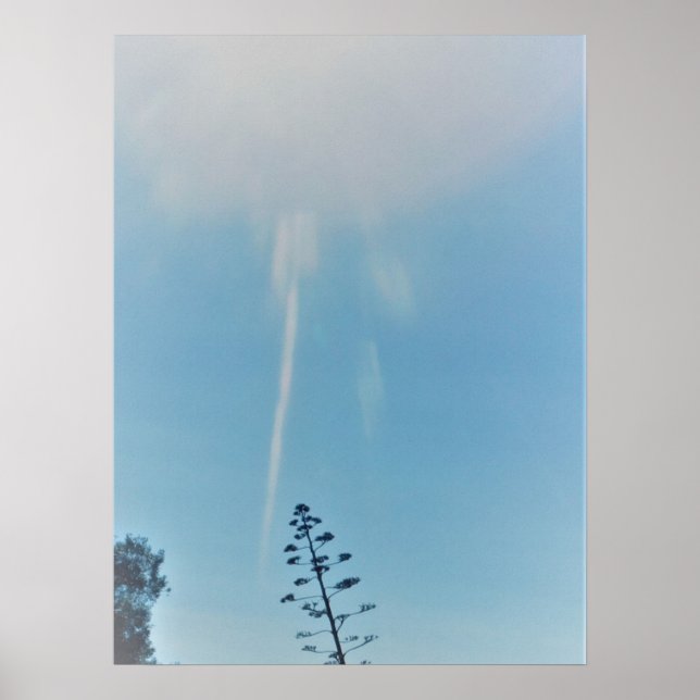 POSTER ART AND DESIGIGN STYLES (Vorne)