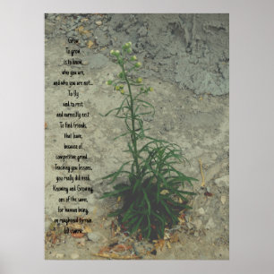 POSTER ART AND DESIGIGN STYLES