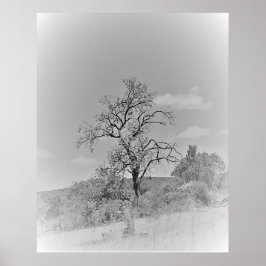 POSTER ART AND DESIGIGN STYLES