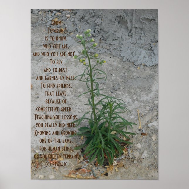 POSTER ART AND DESIGN STIL (Vorne)