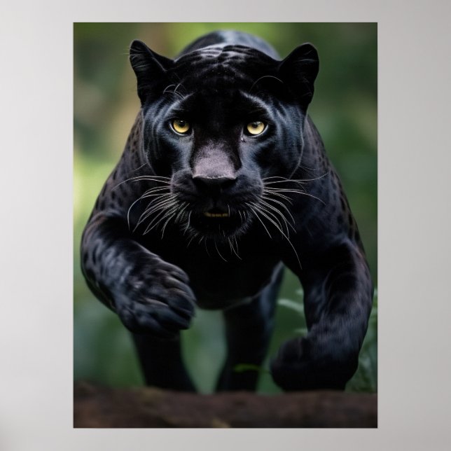 Poster Art Black Leopard (Vorne)