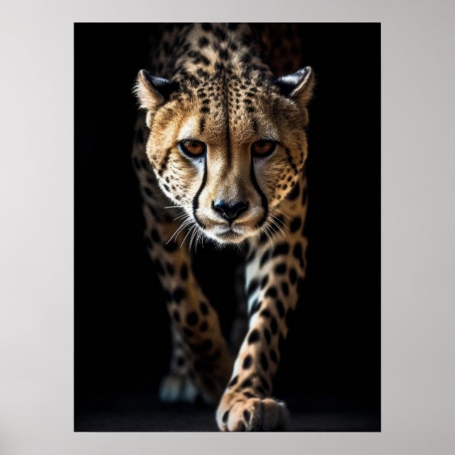Poster Art Cheetah (Vorne)