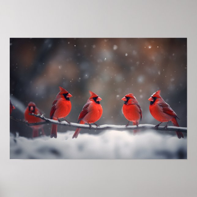 Poster Art Kardinals (Vorne)