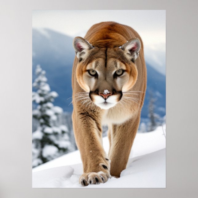 Poster Art Mountain Lion (Vorne)