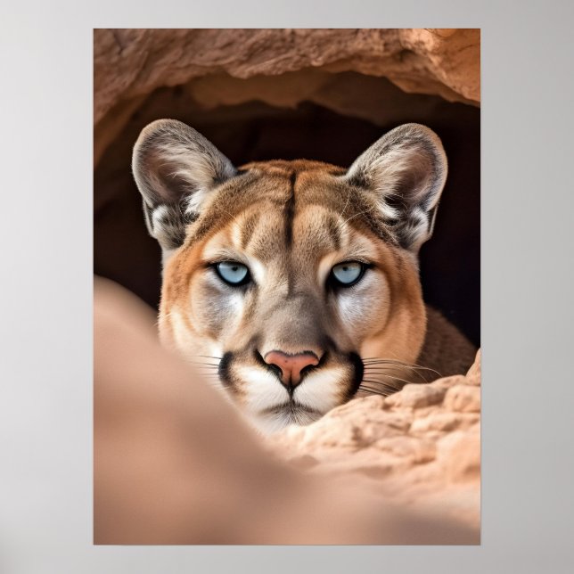 Poster Art Mountain Lion (Vorne)