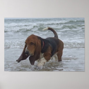 Poster Basset Hound am Meer