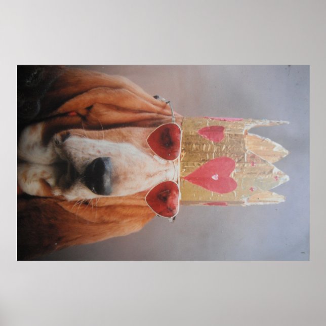 Poster Basset Hound King (Vorne)