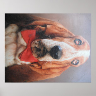 Poster Basset Hound mit Red Bow Krawatte