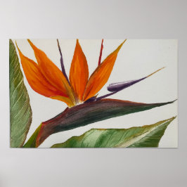 Poster "Bird of Paradise"