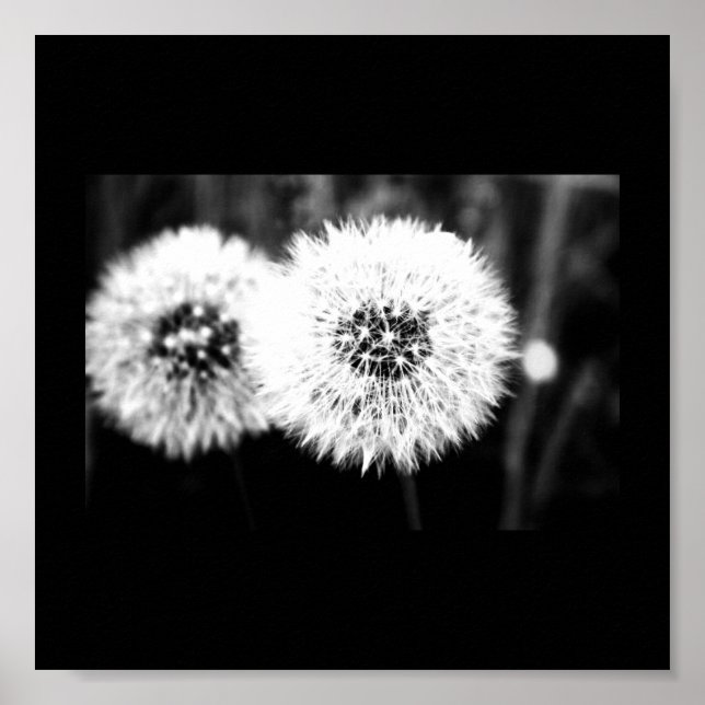Poster-Blume-141 Poster (Vorne)