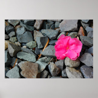 Poster "Blume in Rough"