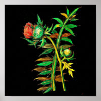 Poster-Botanische Kunst-Mary-Delany 6