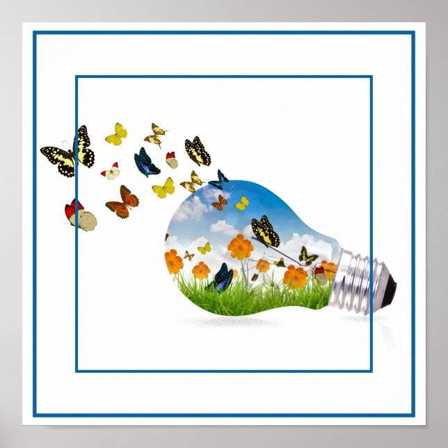 Poster-Butterflies 12"x 12" Poster (Vorne)