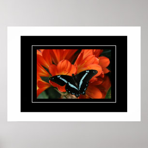Poster Butterfly/Blume