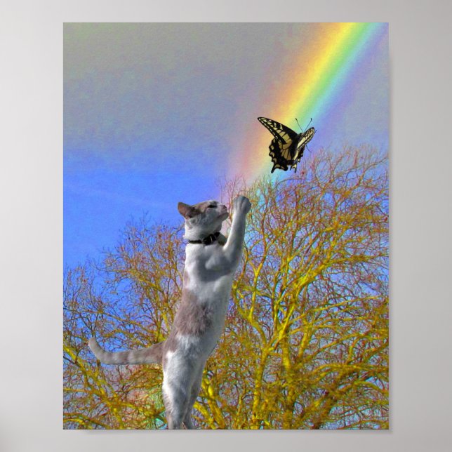 Poster - Cat Chasing Butterfly (Vorne)