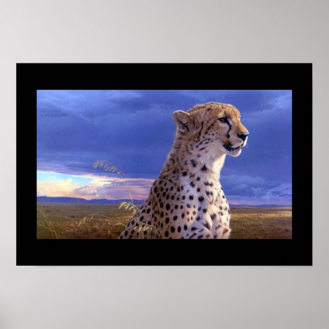 Poster-Cheetah Poster (Vorne)
