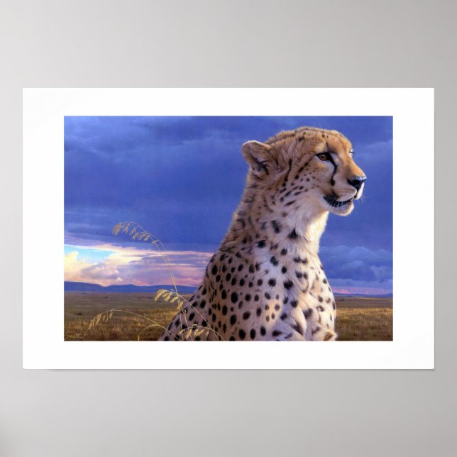 Poster-Cheetah Poster (Vorne)