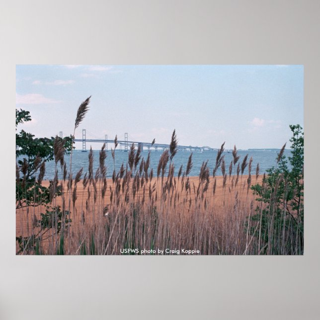 Poster / Chesapeak Bay Bridge (Vorne)